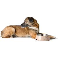 Voerbak voor honden Hunter LUTON 350 ml - thumbnail