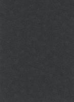 Dutch Wallcoverings Behang Carat Deluxe Uni Zwart 10079-15 - thumbnail