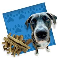 Petsnack buffelstaart met huid - thumbnail