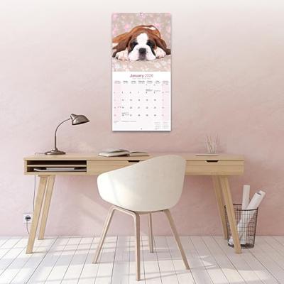Boxer Puppies Calendar 2026 Square Dog Puppy Breed Wall Calendar - 16 Month