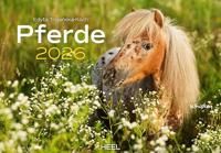 Paarden Kalender 2026 Groot - thumbnail
