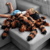 Gigantische tarantula knuffel (85 cm) - thumbnail