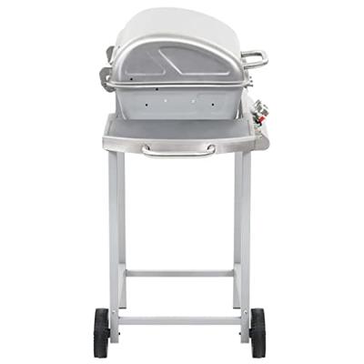 Gasbarbecue en grill met 2 kookzones roestvrij staal zilver Gasbarbecue en grill met 2 kookzones roestvrij staal zilver