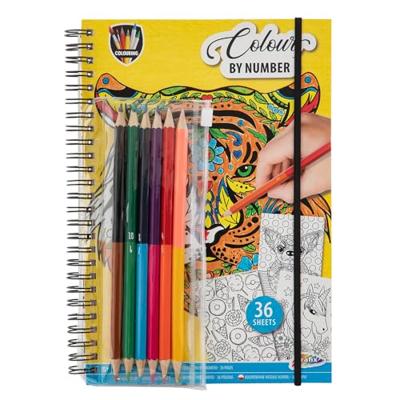Grafix Kleuren op nummer kleurboek met kleurpotloden.