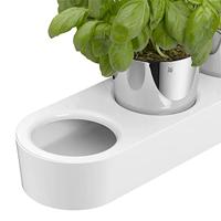 WMF Herb Garden set 3-pcs. Gourmet Plantenpot Vrijstaand Roestvrijstaal Roestvrijstaal, Wit Binnen - thumbnail