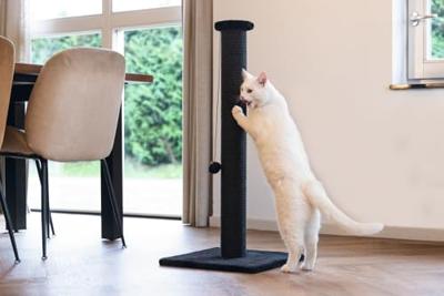 Krabpaal Serpa Zwart