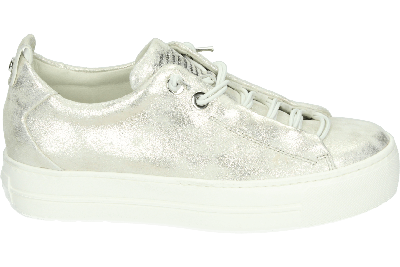 Paul Green 5017 - alle