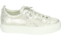 Paul Green 5017 - alle - thumbnail