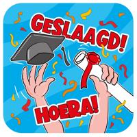 Paperdreams huldeschild geslaagd cartoon - thumbnail