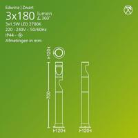 Philips LED 929004659701 Desi Staande LED-buitenlamp LED 4.5 W Zwart - thumbnail