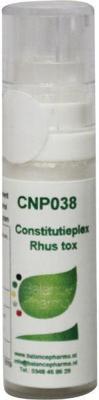 Balancepharma CNP38 Rhus tox Constitutieplex 6 Gram