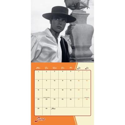 Cliff Richard Record Sleeve Kalender 2026