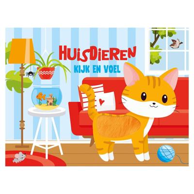 Lantaarn Kijk en voel - huisdieren