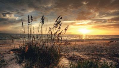 Strand avond 130x70cm Tuinschilderij Customize-it - Customize it