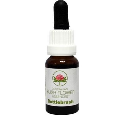 Australian Bush Bottlebrush 15 Milliliter Australian Bush Bottlebrush 15 Milliliter