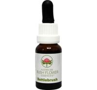 Australian Bush Bottlebrush 15 Milliliter - thumbnail