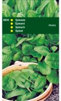 Zaden Spinazie Nores type Viking rondzadig 250g Tuinplus - Tuinplus - thumbnail