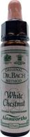 Ainsworths White chestnut Bach 10 Milliliter - thumbnail