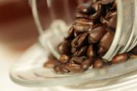 Canon EF 100mm F/2.8L USM IS Macro - thumbnail