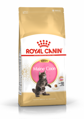 ROYAL CANIN Maine coon FBN Kitten - droog kattenvoer - 400g
