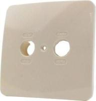 Enzo Hirschmann AD 350 Afdekplaat 2-gaats EDU/GEDU/FS 2300410 - thumbnail