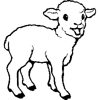 Lammetje - Muursticker - thumbnail