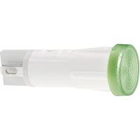 RAFI 1.69.525.216/1600 Standaard signaallamp met lamp Blauw 1 stuk(s) - thumbnail