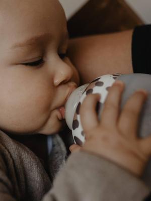 BibRond-fles 240 ml ELHEE bruin, bedrukt