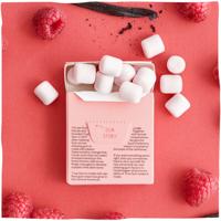 True Gum Raspberry & Vanilla - thumbnail