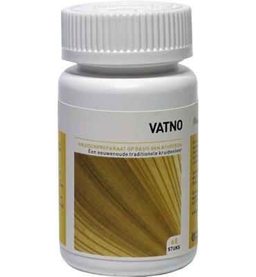 Ayurveda Health Vatno 60 Tabletten