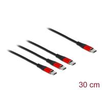 Delock Cable DE CARGA USB 3 EN 1 USB TYPE-C ™ A 3 X USB TYPE-C ™ 30 CM - thumbnail