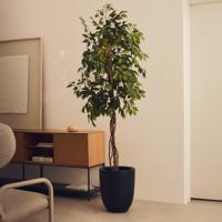 Kave Home Kunstplant 'Ficus' 180cm hoog, excl. sierpot - thumbnail