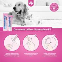 Stomodine F 30ml - thumbnail