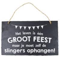 Leisteen Het is leven is een groot feest - thumbnail