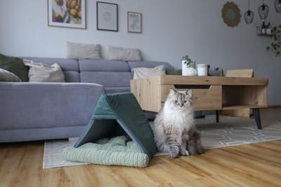 Bed voor katten - KERBL - ANNE - 45 x 40 x 34 cm - Groen