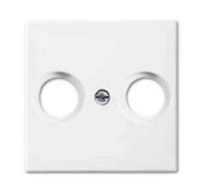 Busch-jaeger Centraalplaat antenne SI-B 2531 914