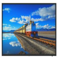 Monitor Dahua 1.0.99.12.10346-9001 Full HD - thumbnail