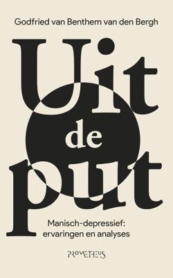 Uit de put - Godfried van Benthem van den Bergh - ebook