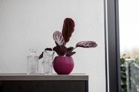 Capi Bloempot Vaas Bol Groove Groen Ø13cm - thumbnail