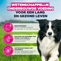 Eukanuba Adult Medium kip hondenvoer 2 x 15 kg - thumbnail