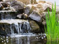 Hozelock Ecopower + UVC vijverfilter (Geschikt voor vijverinhoud (vissen): 10000L) - thumbnail