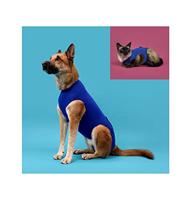 Herstelvest voor huisdieren KVP 74-86 cm Blauw - thumbnail