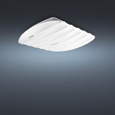 TP-Link Omada EAP110 300 Mbit/s Wit Power over Ethernet (PoE)