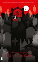 Brug der zielen (Hardback) - thumbnail