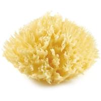 THERMOBABY Honingraat van Eponge de mer nr. 10 - thumbnail