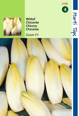 Zaden Brussels Witlof Zoom F1 Hortitops - Hortitops