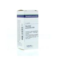 VSM Okoubaka aubrevillei D30 10 Gram - thumbnail