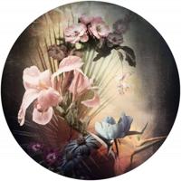 Noordwand Komar Dots Behangcirkel Flemish Flowers - D1-036 - thumbnail