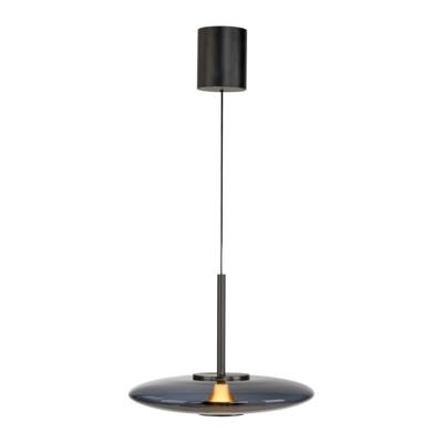 Paul Neuhaus HanglampPure E-Vitrum design grijs - 2084-15