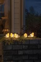 Lichtsnoer LED 5 vogels herfstkleuren Konstsmide - Konstsmide - thumbnail